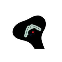 Крепления замков ремня безопасности