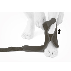 1) Наденьте скобу на ногу