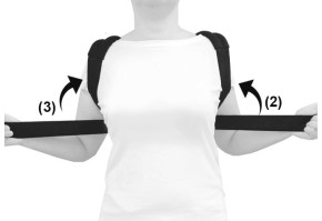 3) Измерьте необходимую длину ремней (2 и 3)