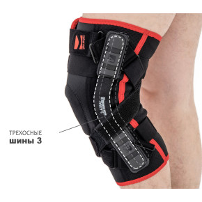 Шины 3 – это трехосные шины