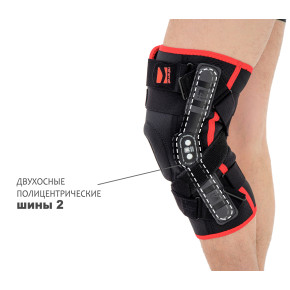 Шины 2 – это двухосные полицентрические шины