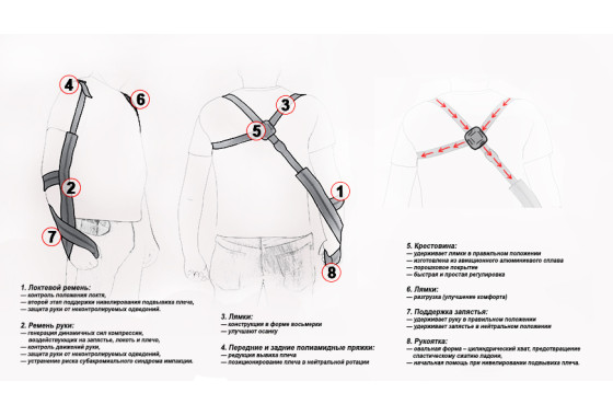 Составляющие части ортеза