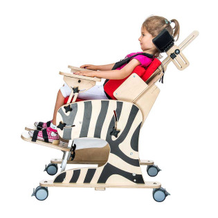 Реабилитационное кресло Akcesmed Зебра Zb-1