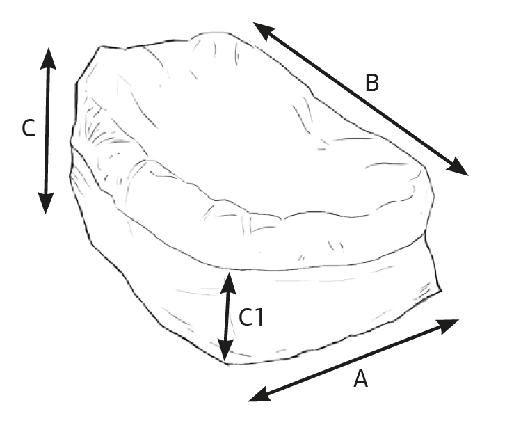 Bodymap R